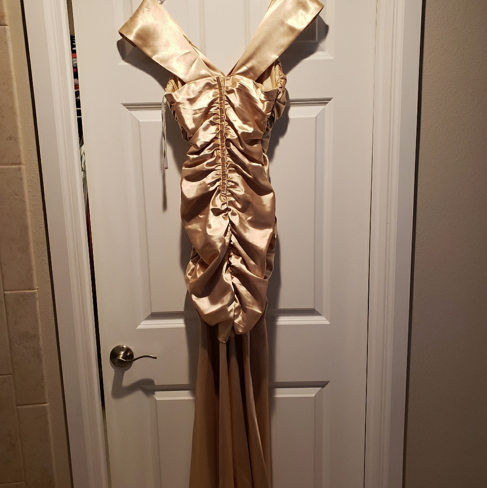 Prom or Bridal dress